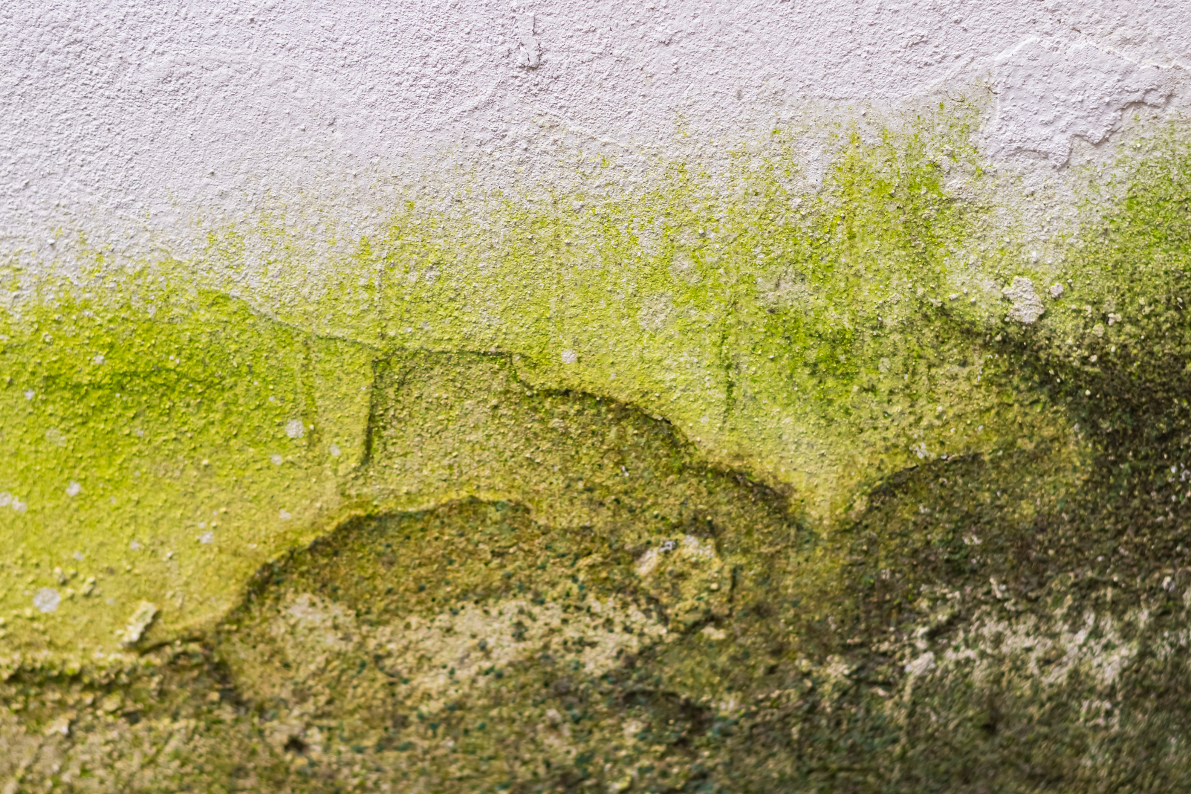 Moisture intrusion detection in walls, ceilings, and foundations